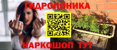 дмт Краснознаменск